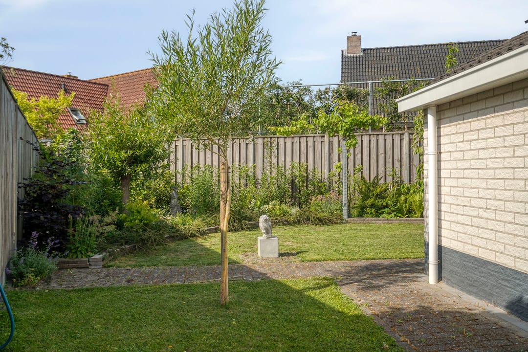 Foto 23 van Vlaamse Gaai 3