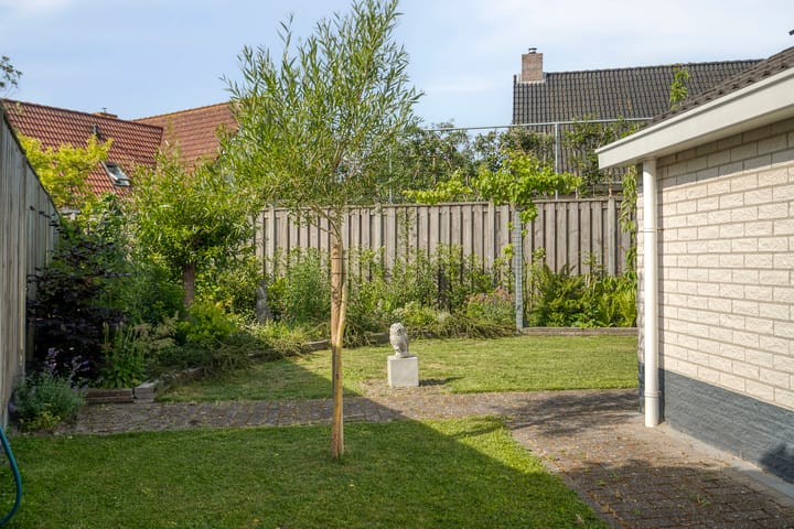 Foto 23 van Vlaamse Gaai 3