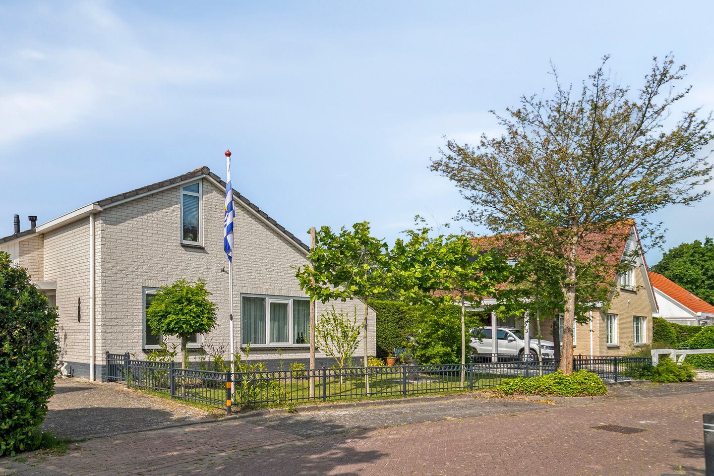 Foto 25 van Vlaamse Gaai 3