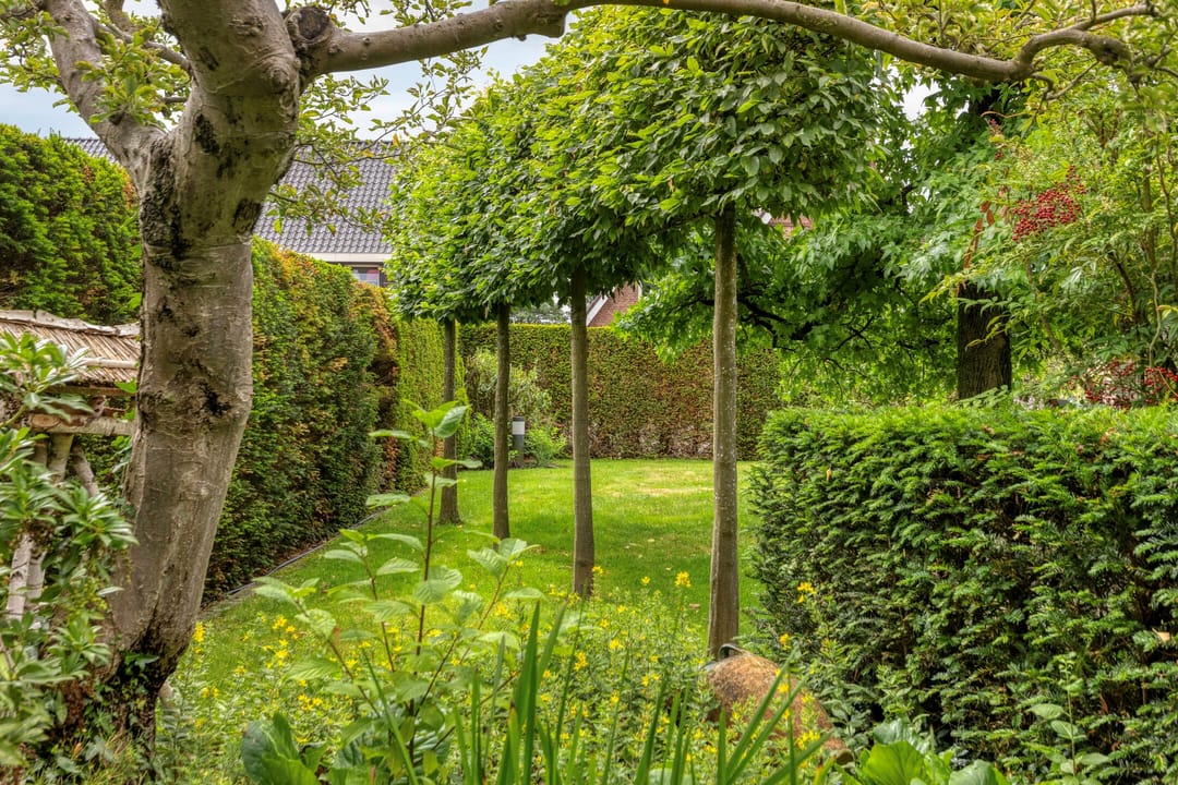 Foto 38 van Het Otman 2