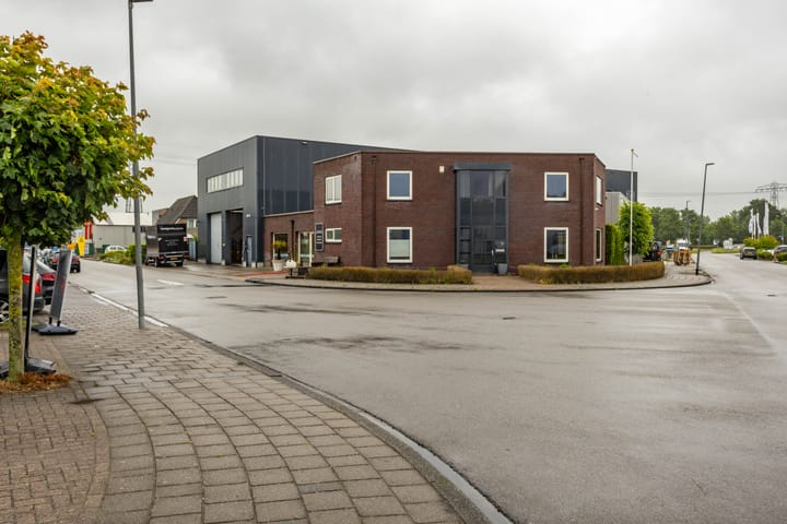 Foto 6 van Kweldergras 3-A