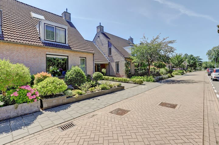 Foto 38 van Haydnstraat 40