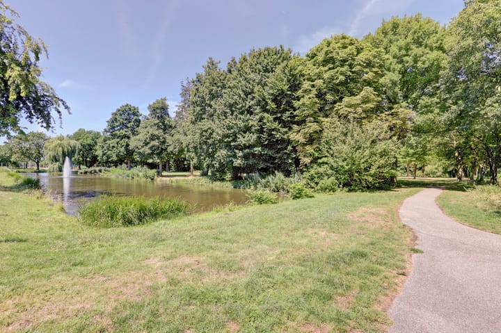 Foto 39 van Haydnstraat 40