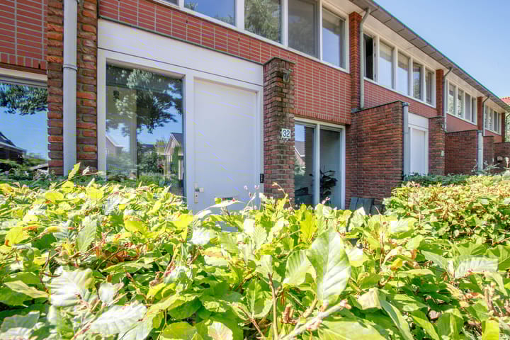 Photo 6 of Jan Wilspad 32