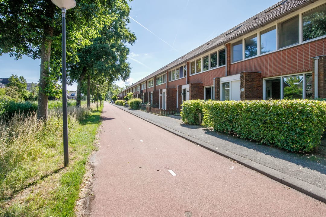 Foto 7 van Jan Wilspad 32