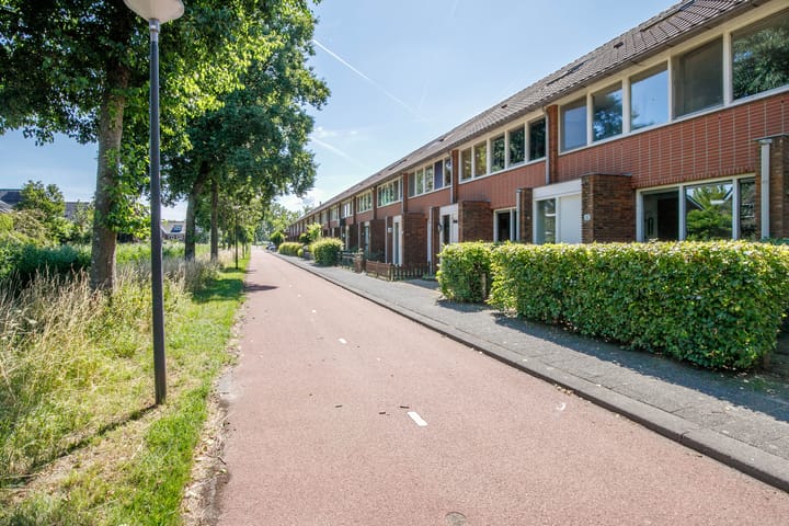 Photo 7 of Jan Wilspad 32