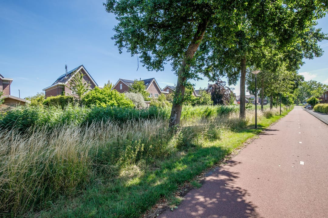 Foto 8 van Jan Wilspad 32