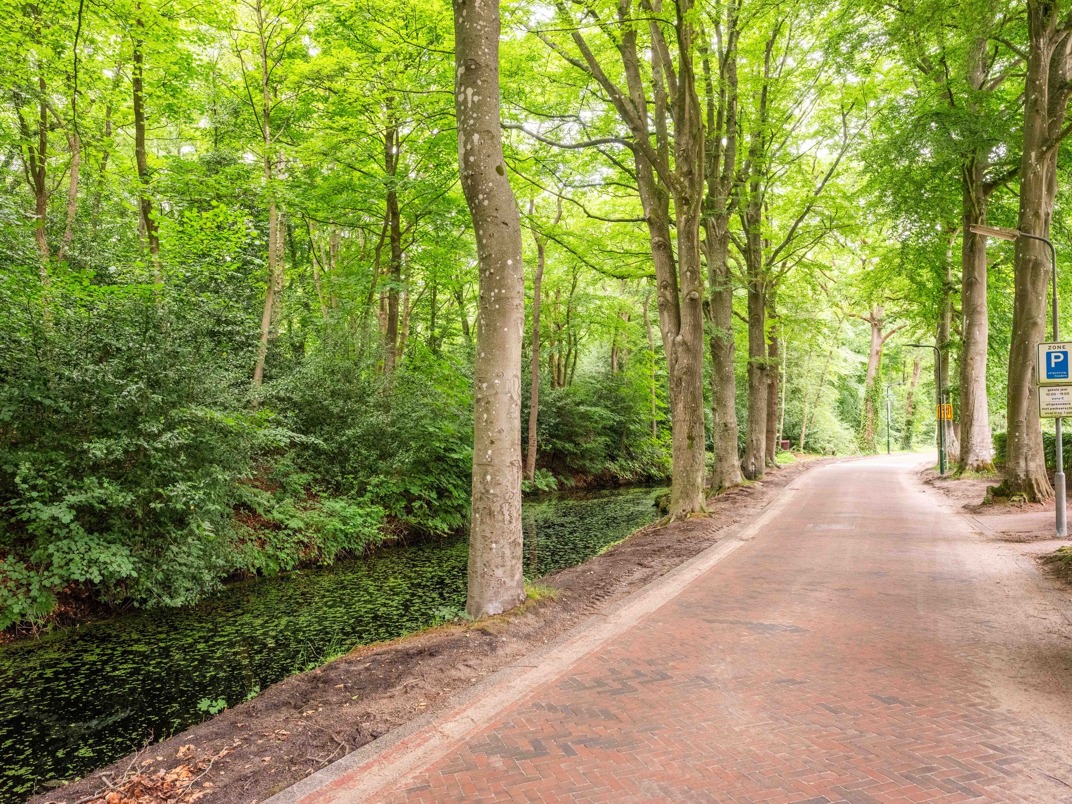 Foto 27 van Maesdammerlaan 11-B