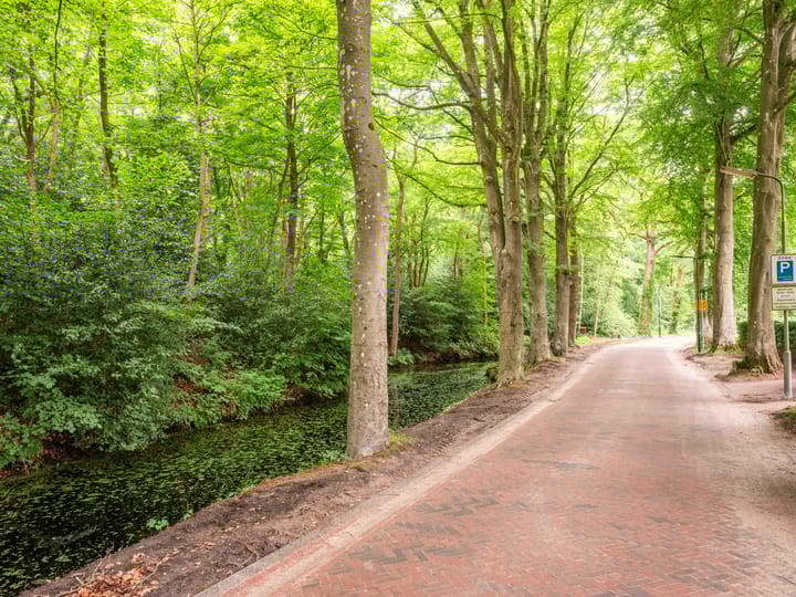 Foto 27 van Maesdammerlaan 11-B