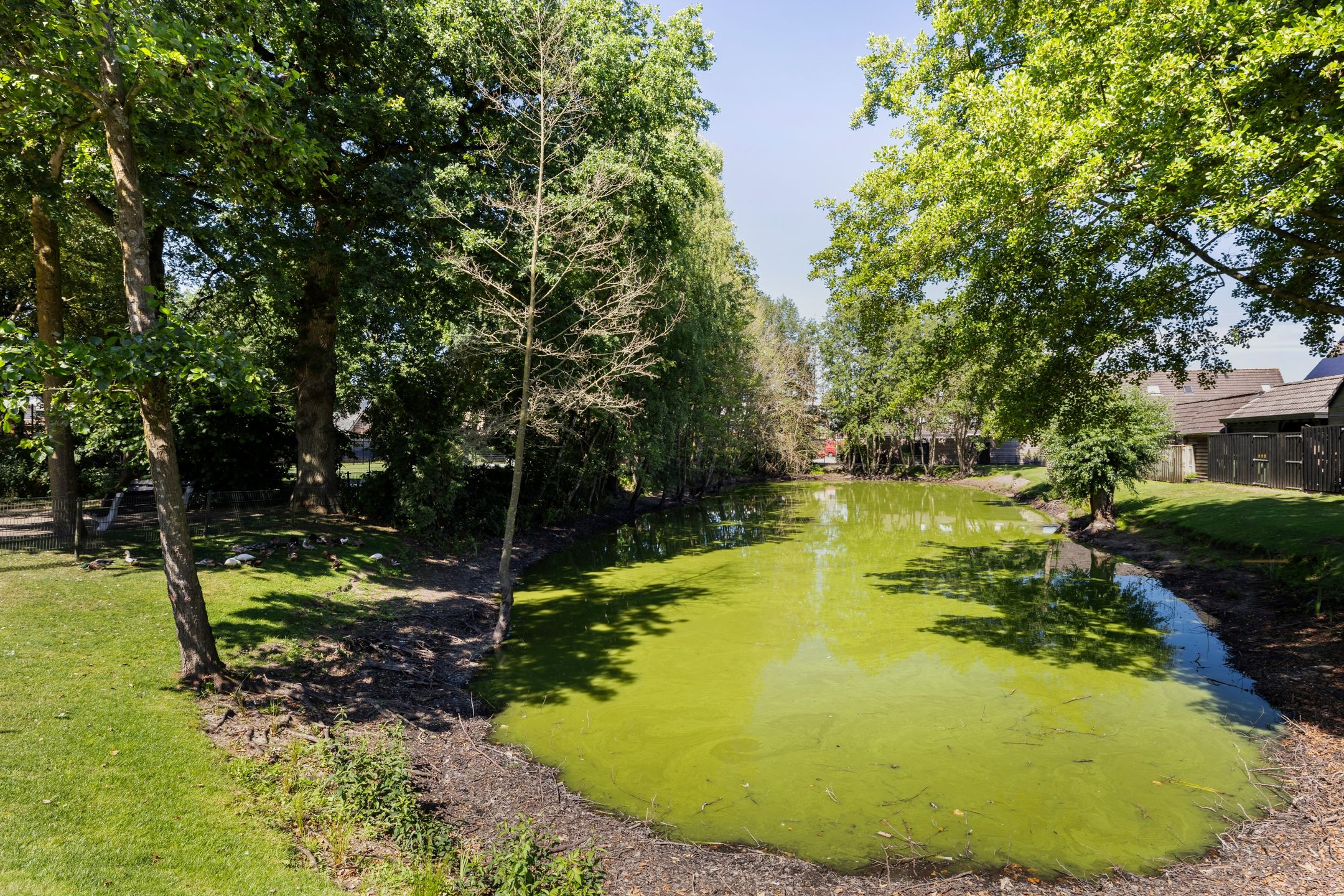 Foto 27 van Tepelenburgweg 3-24