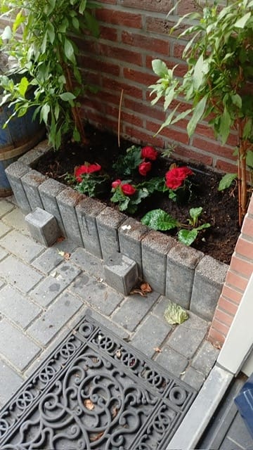 Foto 27 van Erve Snieder 13