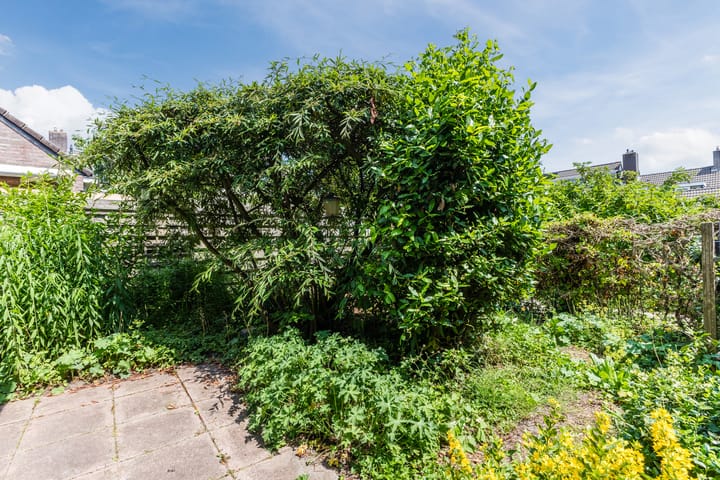 Foto 20 van Jollenpad 34