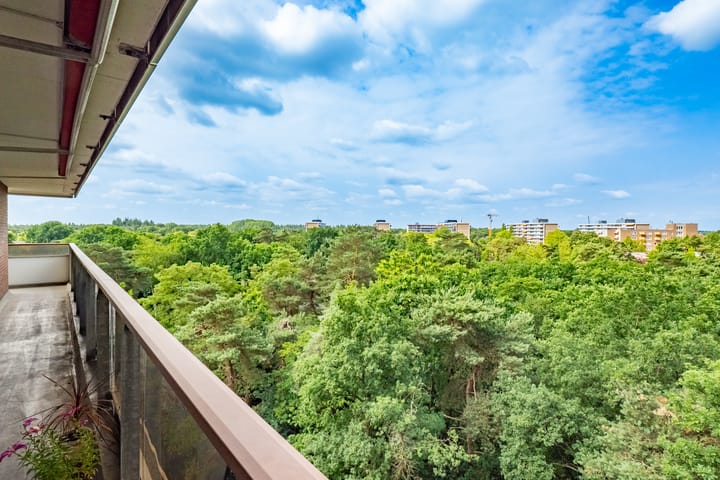 Foto 4 van Bosuillaan 125