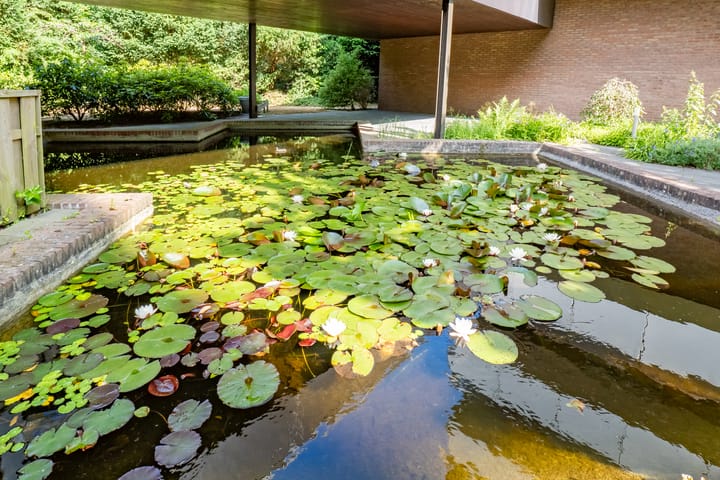 Foto 38 van Bosuillaan 125