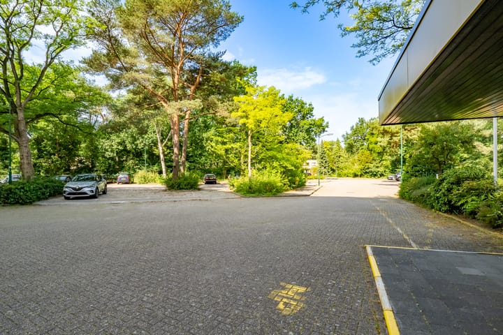 Foto 43 van Bosuillaan 125