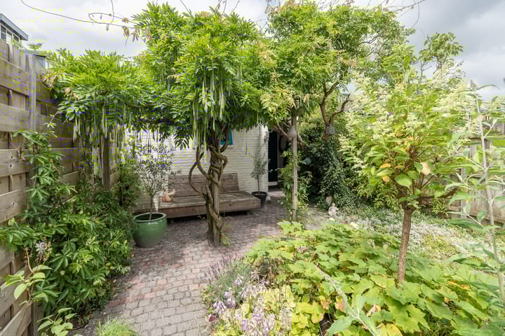 Foto 35 van Titus Brandsmastraat 31