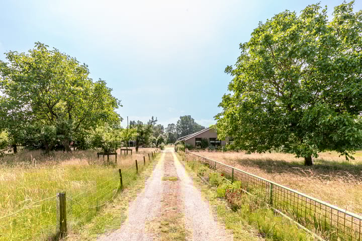 Foto 5 van Vreeweg 51