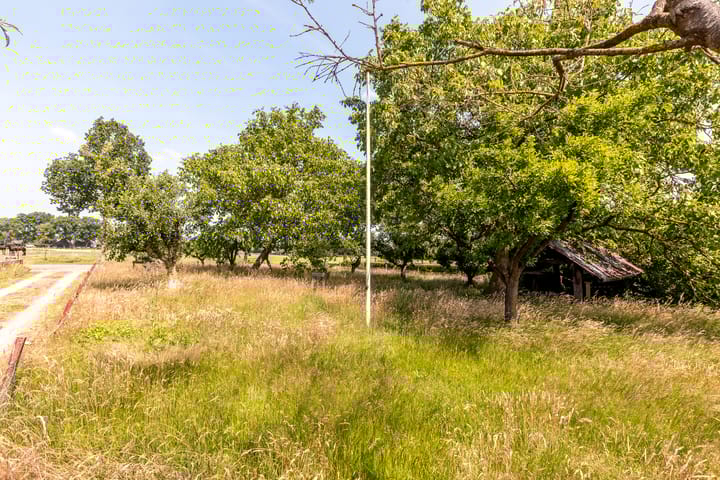 Foto 43 van Vreeweg 51