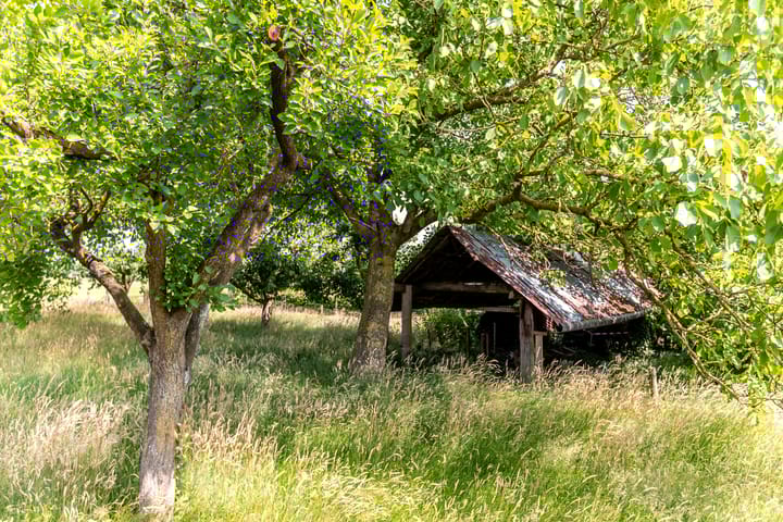 Foto 44 van Vreeweg 51