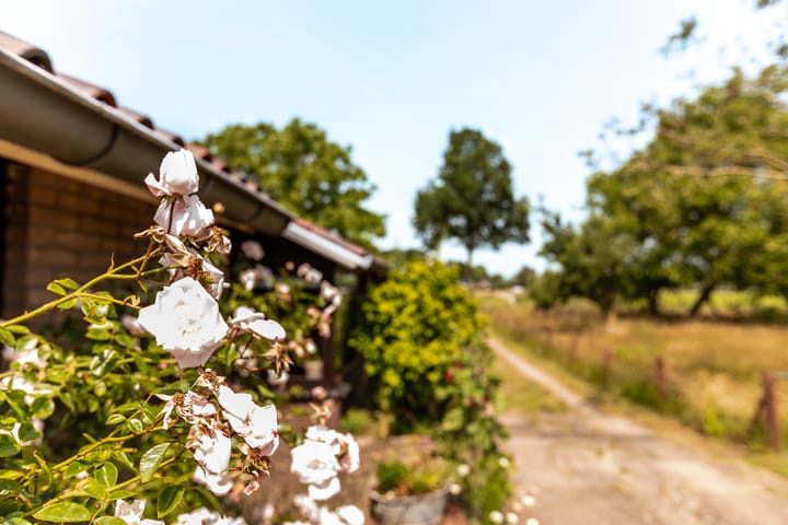 Foto 45 van Vreeweg 51