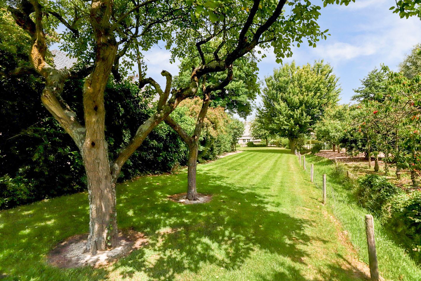 Foto 49 van Koningstraat 17