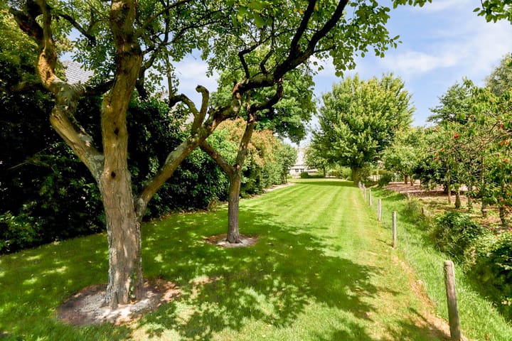 Foto 49 van Koningstraat 17