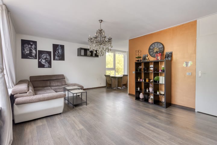 Photo 8 of Korfakker 24