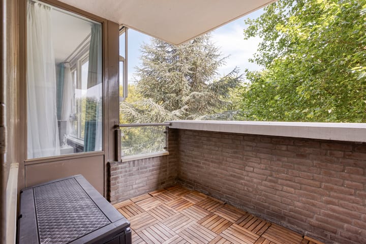 Photo 17 of Korfakker 24