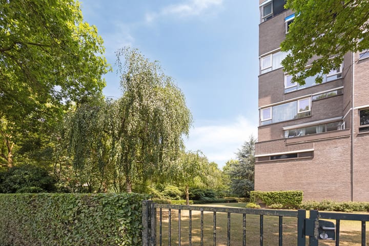 Photo 27 of Korfakker 24