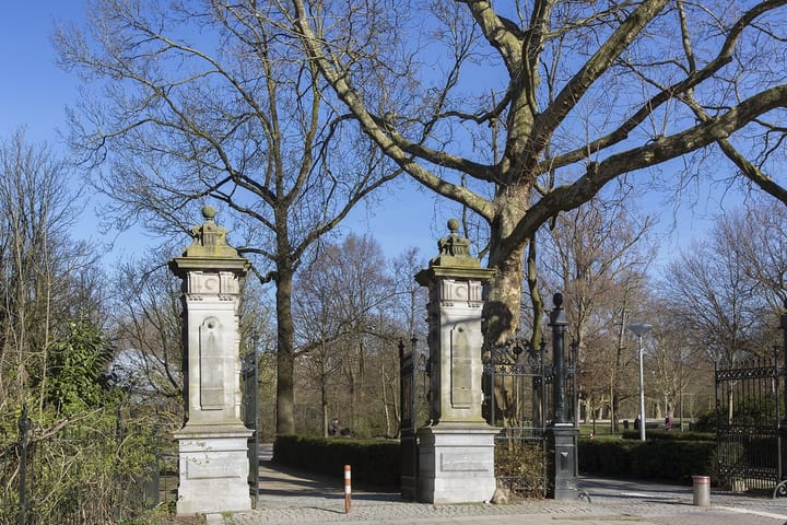 Foto 34 van Jacob Obrechtstraat 61