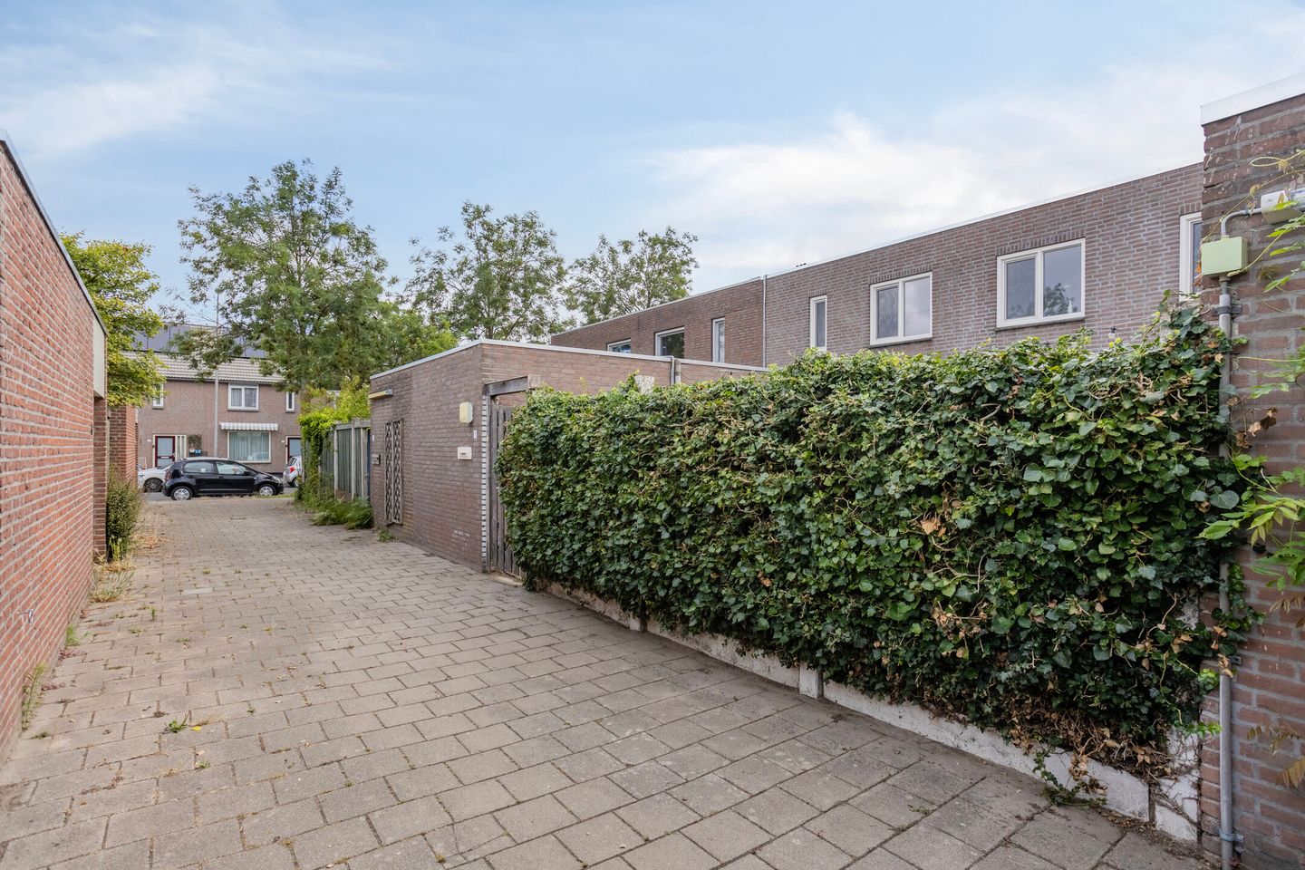 Foto 29 van Boxhornpad 3