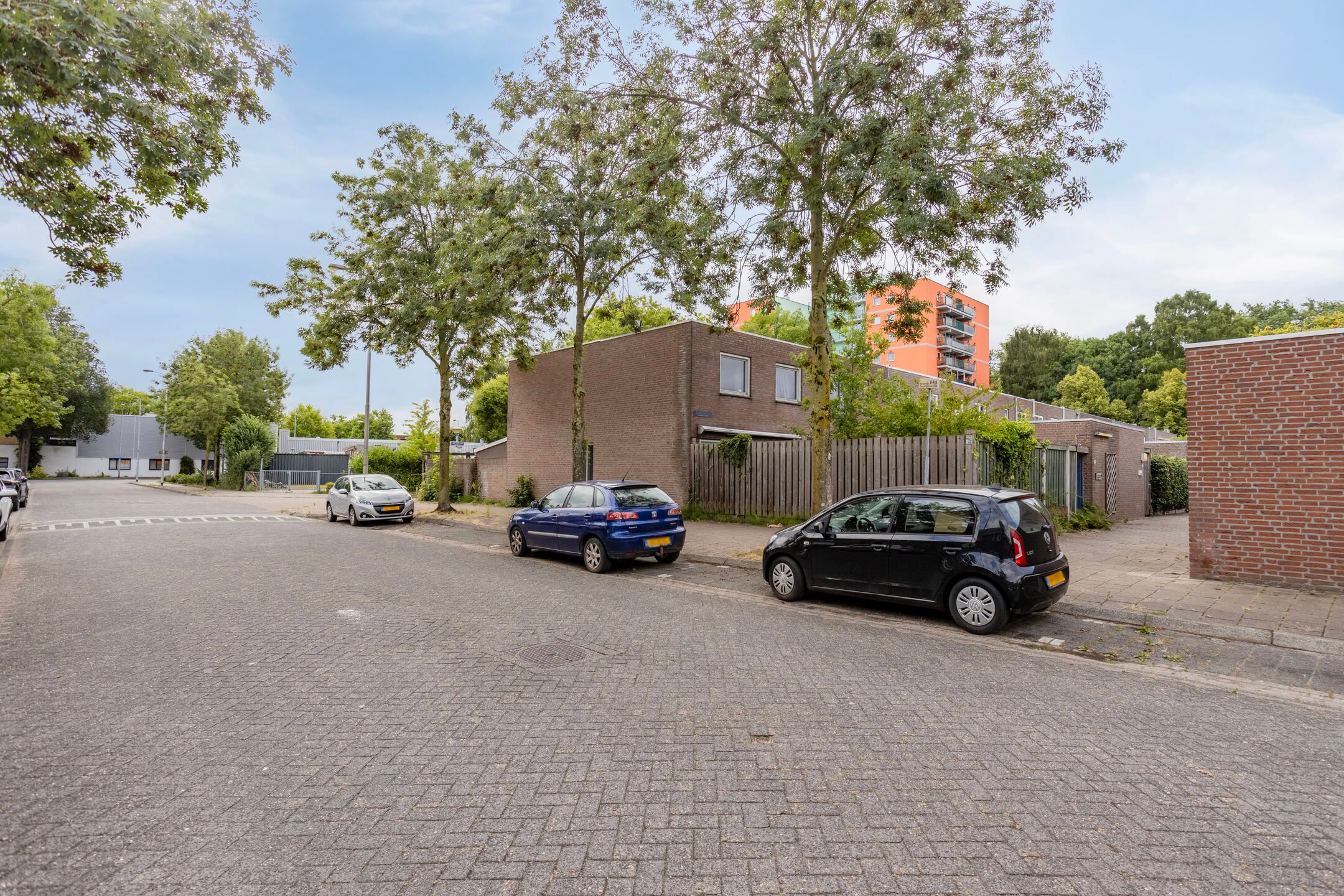 Foto 30 van Boxhornpad 3