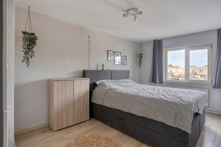 Foto 20 van Boxhornpad 3