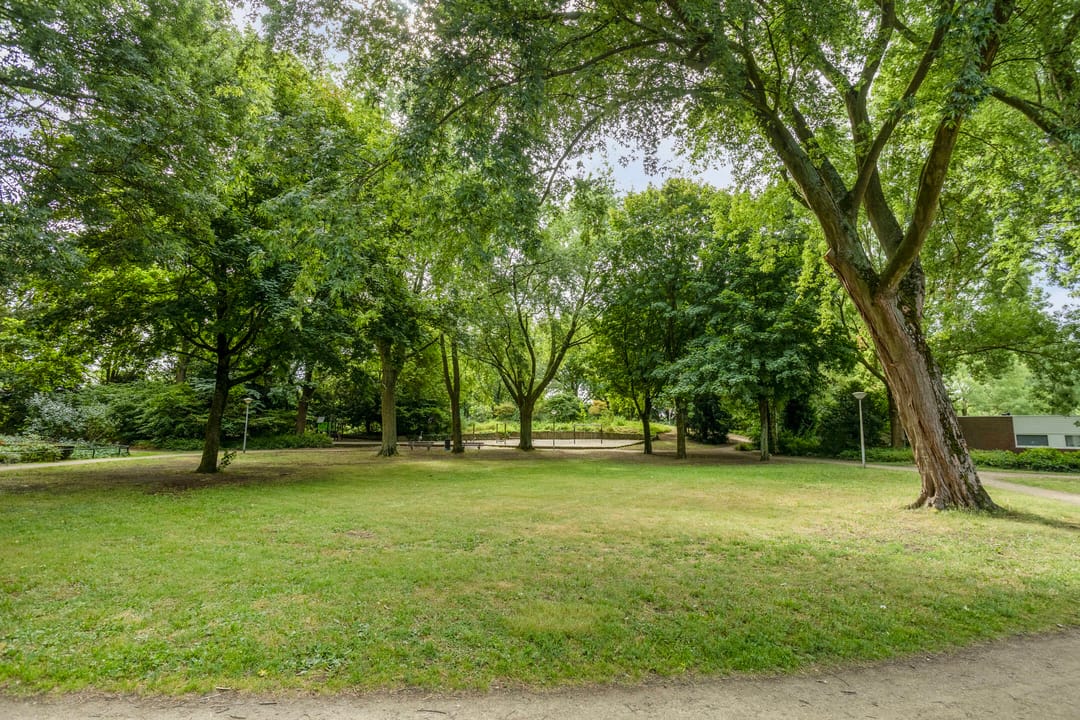 Foto 28 van Boxhornpad 3