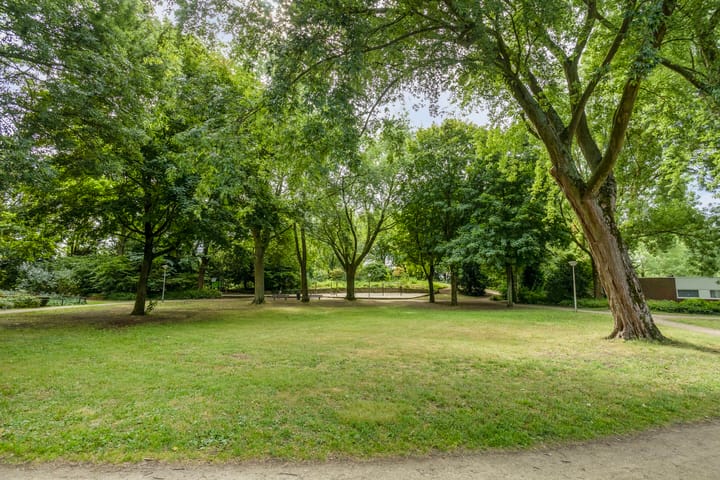 Foto 28 van Boxhornpad 3