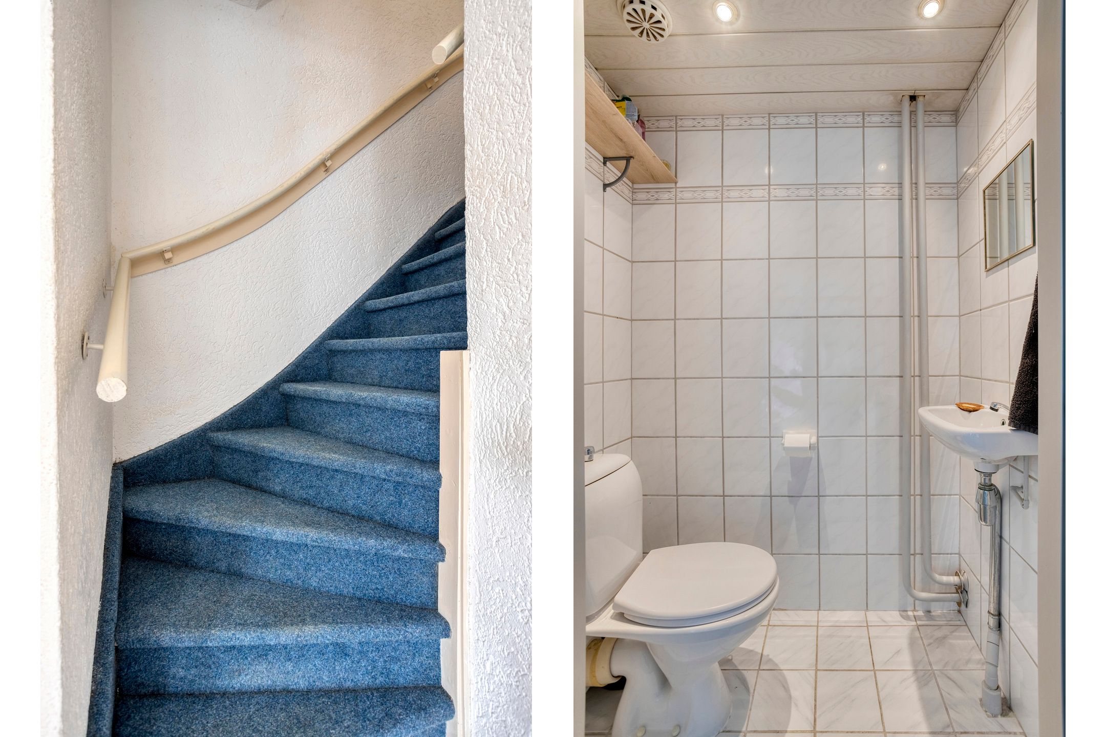 Foto 6 van Boxhornpad 3