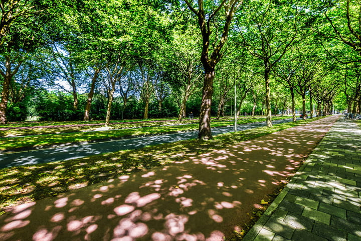 Foto 28 van Van Nijenrodeweg 402