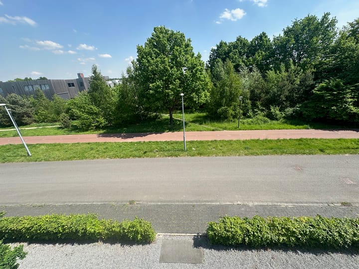 Foto 65 van Park Forum 262