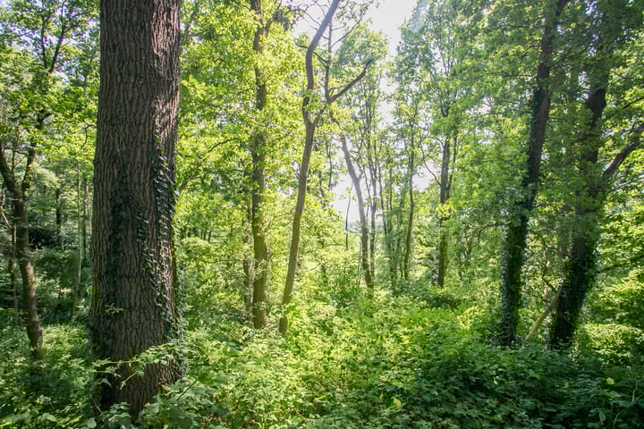 Foto 27 van Maalbekerweg 25-78