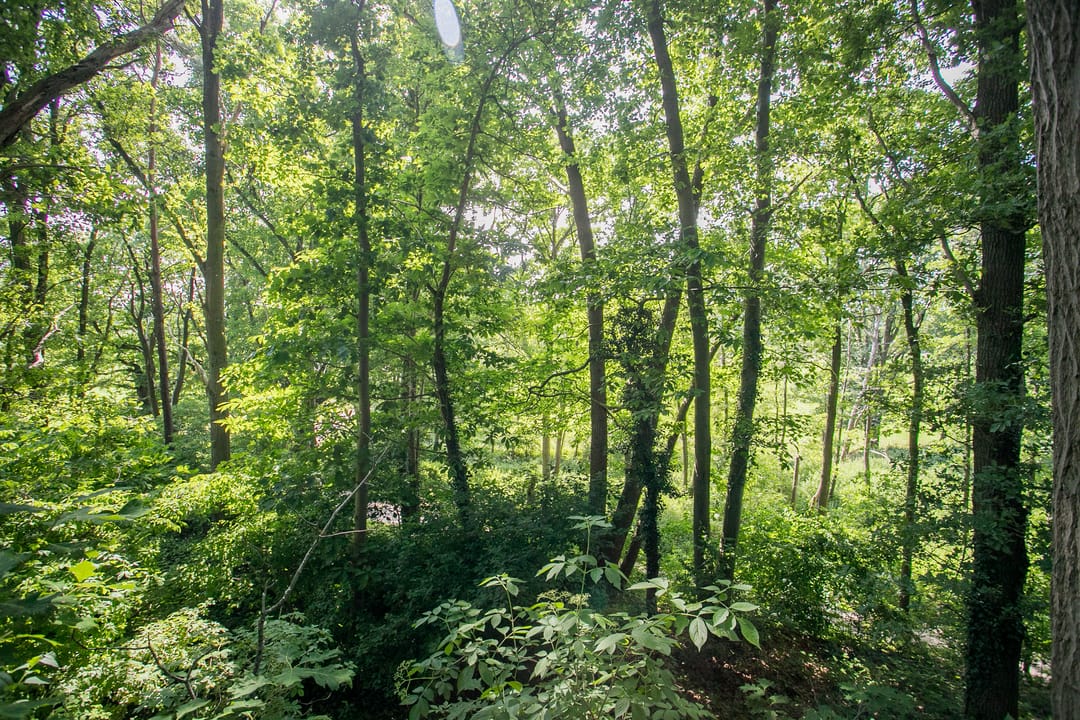 Foto 28 van Maalbekerweg 25-78