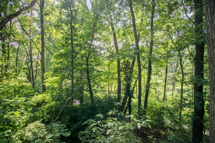 Foto 28 van Maalbekerweg 25-78