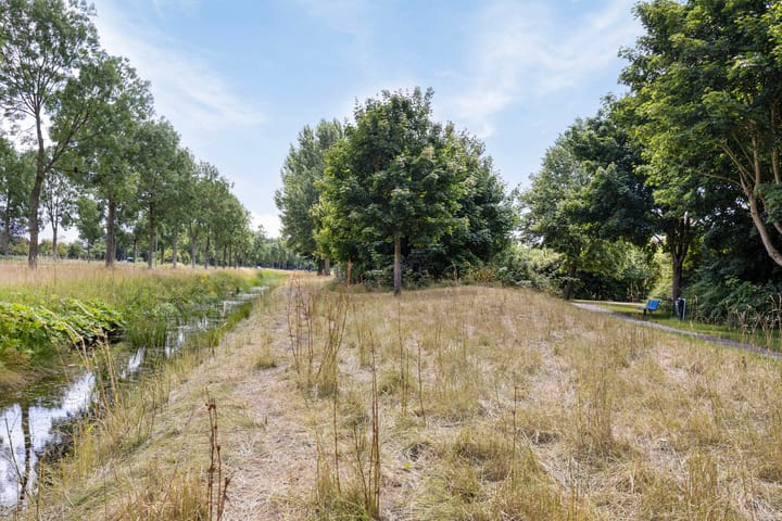 Photo 37 of Roerdomp 49