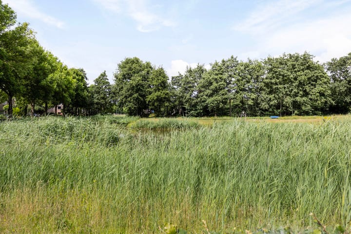 Photo 38 of Roerdomp 49