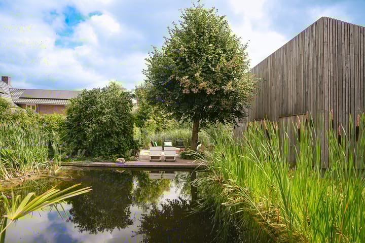 Foto 61 van Langstraat 15