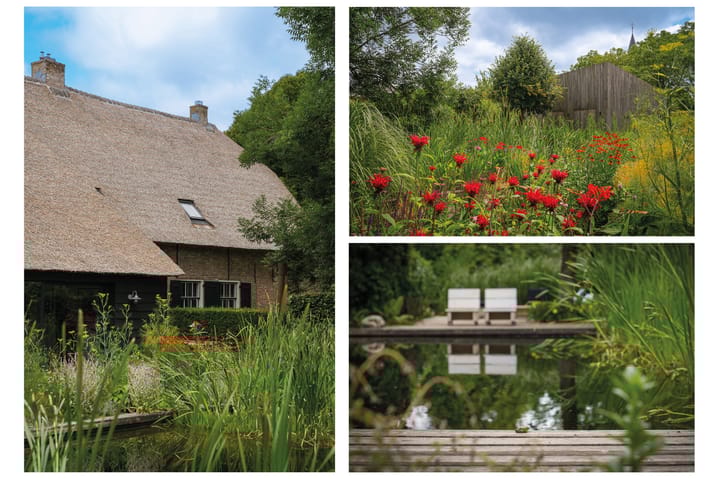 Foto 62 van Langstraat 15