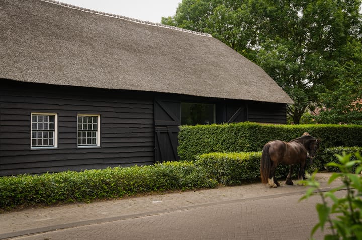 Foto 76 van Langstraat 15