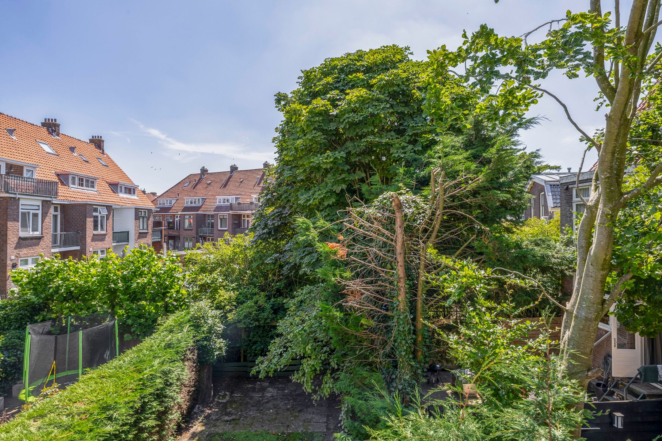 Photo 33 of Saenredamplein 5