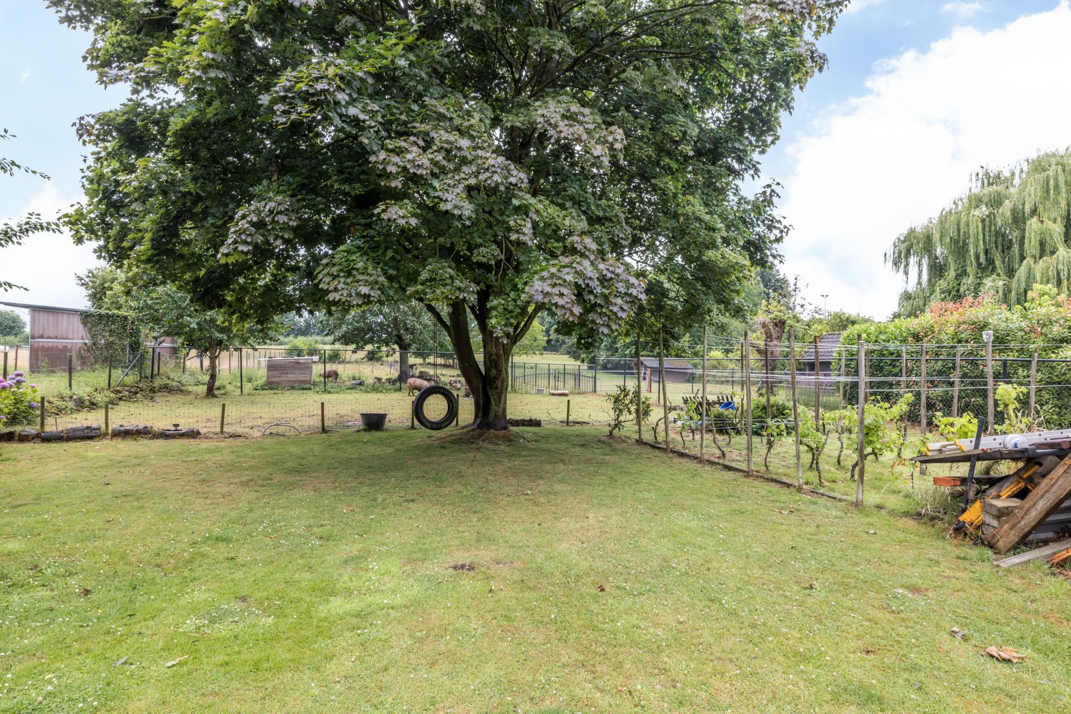 Foto 27 van Bekerbaan 11