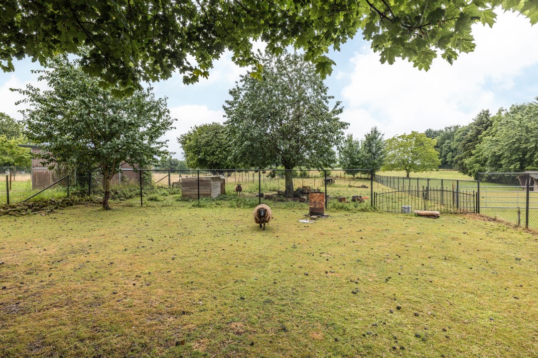 Foto 28 van Bekerbaan 11