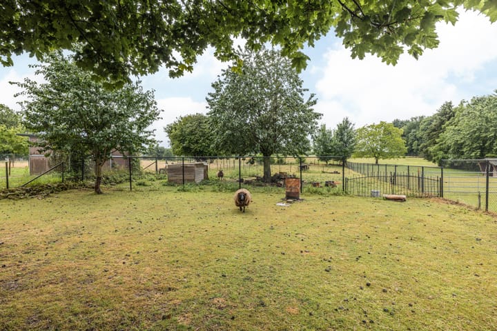 Foto 28 van Bekerbaan 11